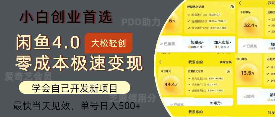 闲鱼0成本极速变现项目，多种变现方式，单号日入500+最新玩法 - 460g_com