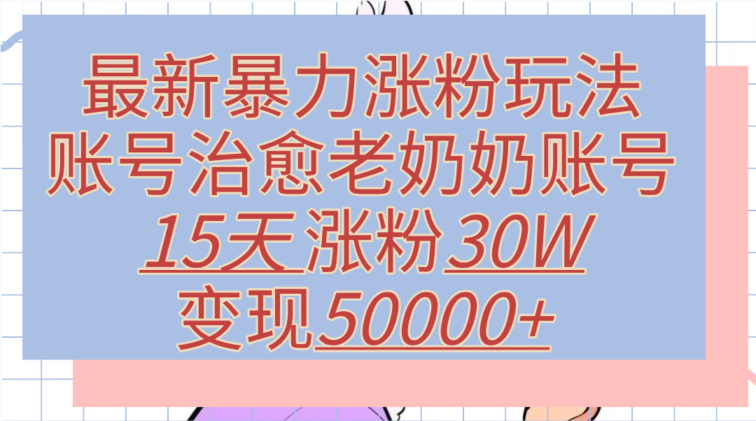 最新暴力涨粉玩法，治愈老奶奶账号，15天涨粉30W，变现50000+【揭秘】 - 460g_com