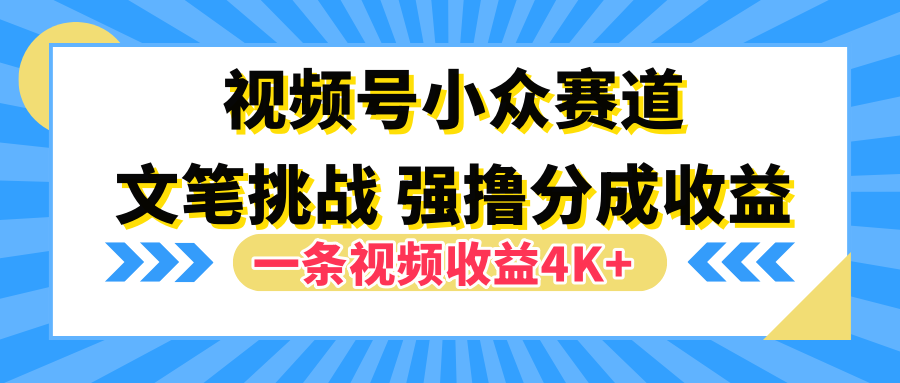 视频号小众赛道，文笔挑战，一条视频收益4K+ - 460g_com