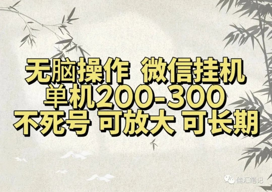 无脑操作微信视频号挂机单机200-300一天，不死号，可放大，工作室实测 - 460g_com