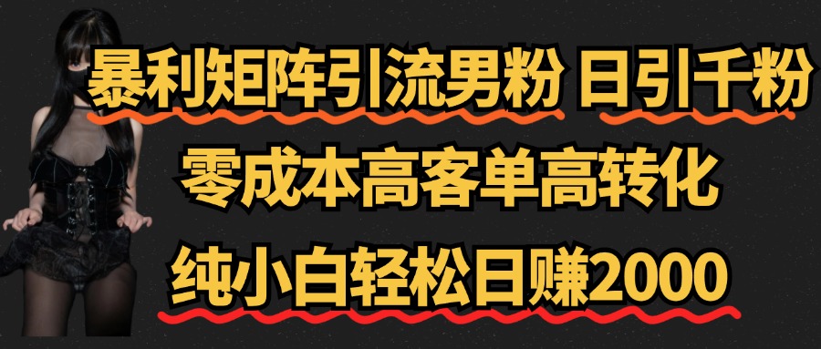 暴利矩阵引流男粉（日引千粉），零成本高客单高转化，纯小白轻松日赚2000+ - 460g_com