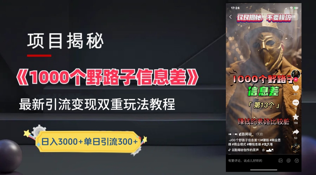 一千个野路子信息差24年最新玩法教程附带变现方法和引流的玩法具体拆解 - 460g_com