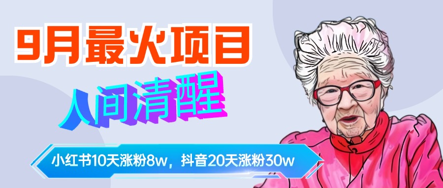 9月最火项目，人间清醒柒奶奶，10天小红薯涨粉8w+，单篇笔记报价1400. - 460g_com