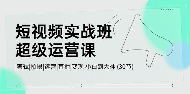 短视频实战班-超级运营课，|剪辑|拍摄|运营|直播|变现 小白到大神 (30节) - 三缺一