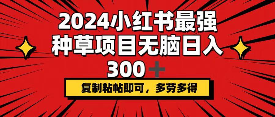 2024小红书最强种草项目，无脑日入300+，复制粘帖即可，多劳多得 - 460g_com