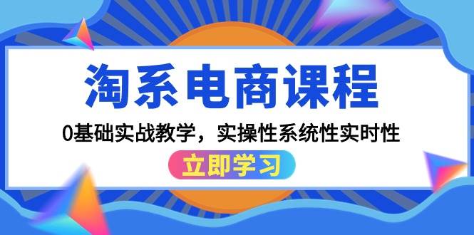 淘系电商课程，0基础实战教学，实操性系统性实时性（15节课） - 三缺一