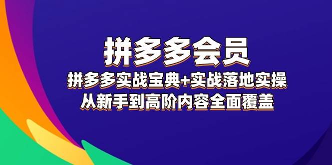 拼多多 会员，拼多多实战宝典+实战落地实操，从新手到高阶内容全面覆盖 - 三缺一