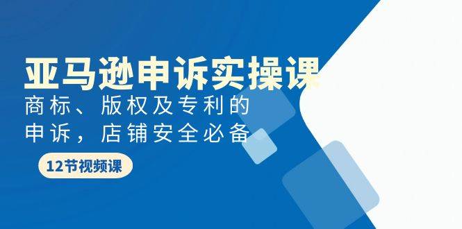 亚马逊-申诉实战课，商标、版权及专利的申诉，店铺安全必备 - 三缺一