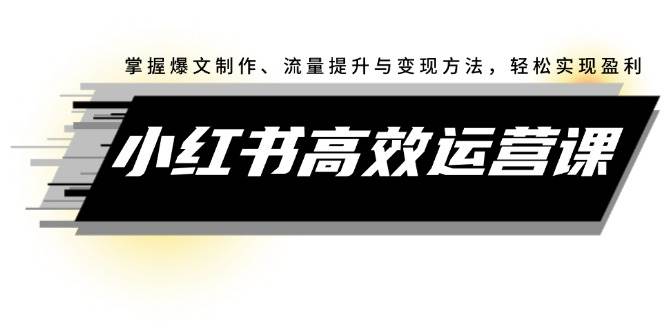 小红书高效运营课：掌握爆文制作、流量提升与变现方法，轻松实现盈利 - 460g_com