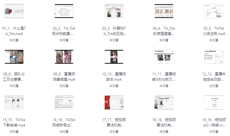 从零到百万！TikTok直播间打造教程，涵盖小店运营、直播技巧及短视频制作 - 三缺一