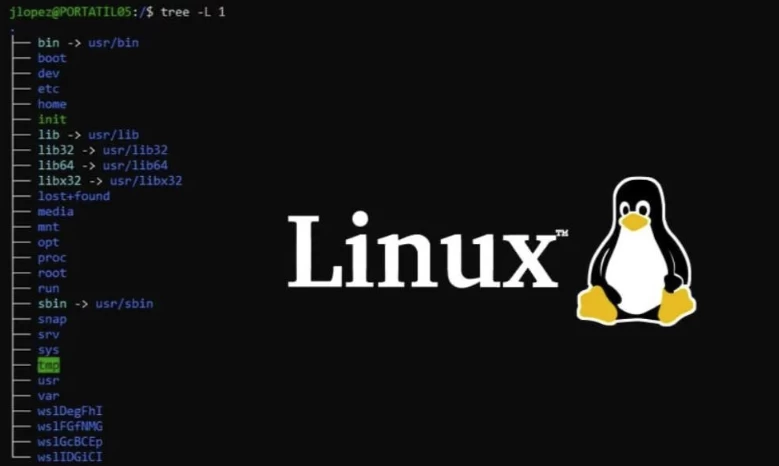 linux从入门到精通 - 三缺一