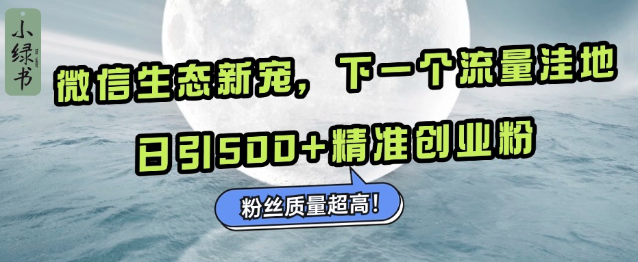 微信生态新宠小绿书：下一个流量洼地，粉丝质量超高，日引500+精准创业粉， - 三缺一