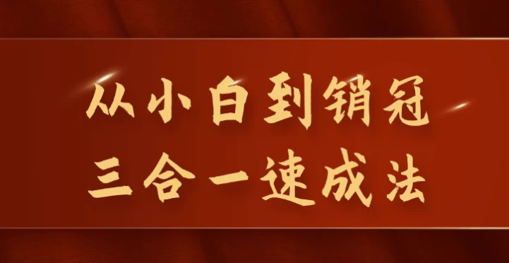 从小白到销冠三合一速成法 - 三缺一