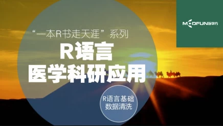 R语言快速入门与数据清洗-一本R书走天涯系列课程 - 三缺一