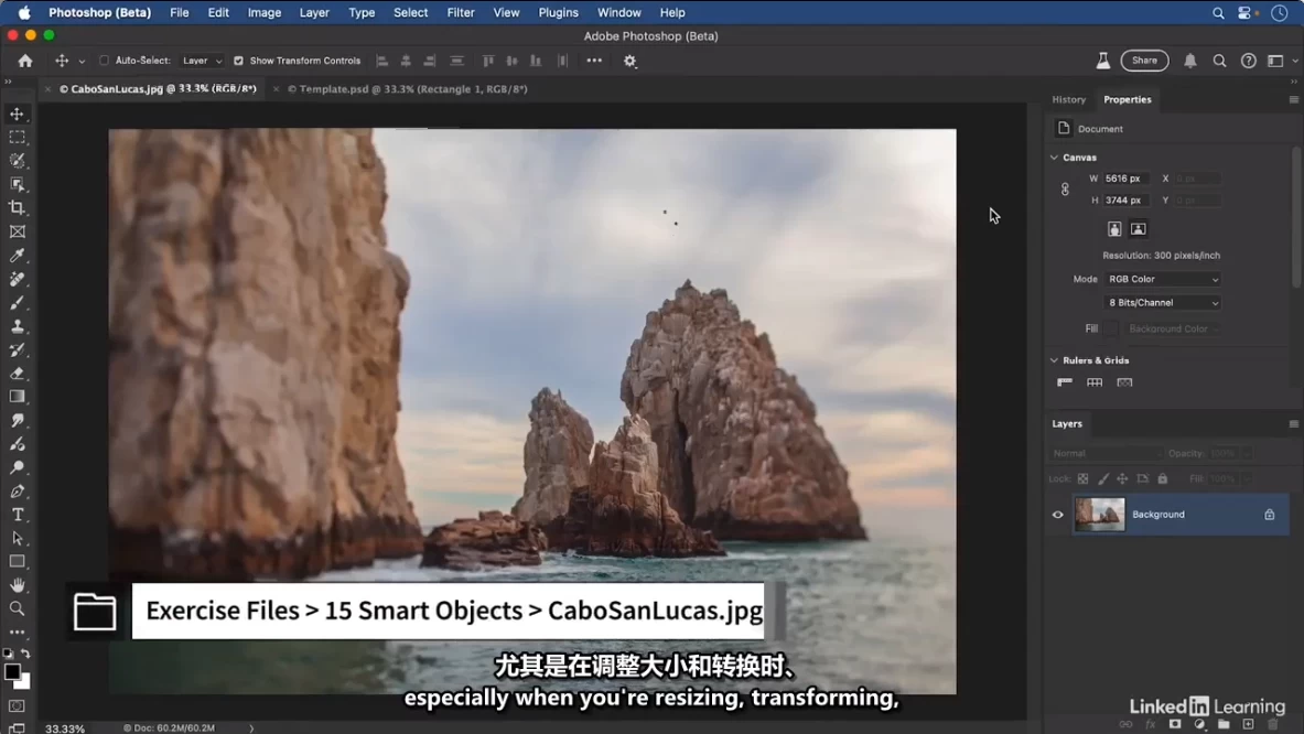 Photoshop 2025 全面核心技术训练教程 - 三缺一