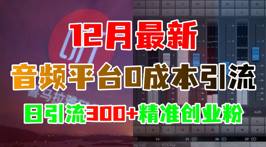 12月最新：音频平台0成本引流，日引300+精准创业粉 - 三缺一